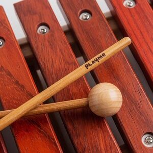NEW PlayMe Toys Wooden Xylophone - 12 Keys